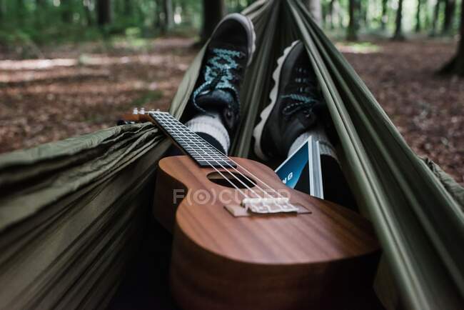 Guitarra e árvore no parque — Fotografia de Stock