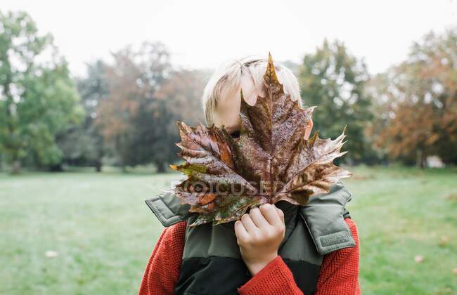 Юна жінка з осінніми листками в парку. — стокове фото