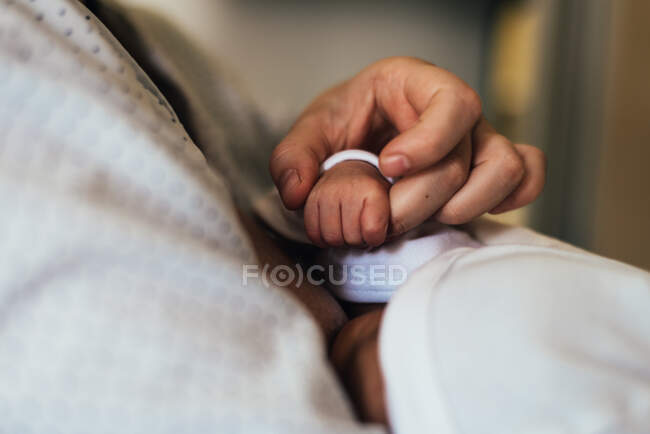 Mano de la madre sosteniendo la mano de su bebé recién nacido mientras amamanta. - foto de stock
