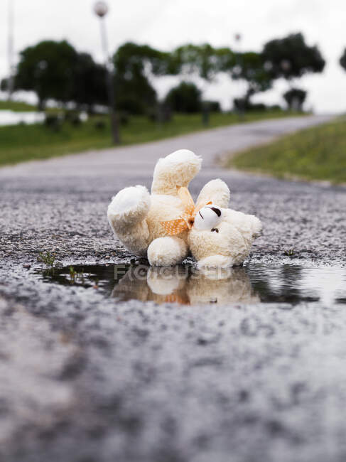 Un piccolo orsacchiotto per strada — Foto stock