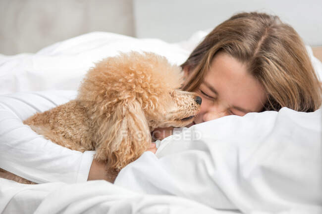 The dog in the morning in bed wakes up the girl mistress — Stock Photo