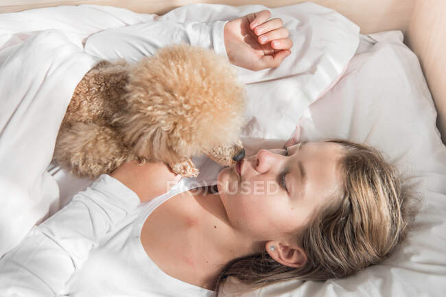 El perro en la mañana en la cama lame a la amante chica - foto de stock