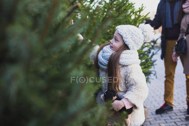 5 Jahre Mädchen wählen den Weihnachtsbaum auf dem Markt für die Abendfeier in den Ferien — Stockfoto