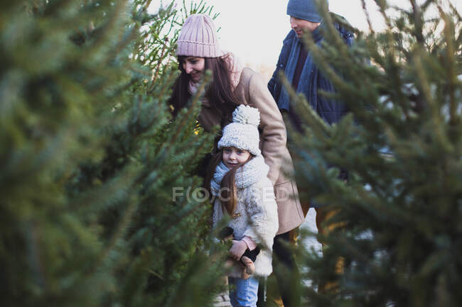 Famiglia felice scegliere l'albero di Natale per la celebrazione serale durante le vacanze — Foto stock