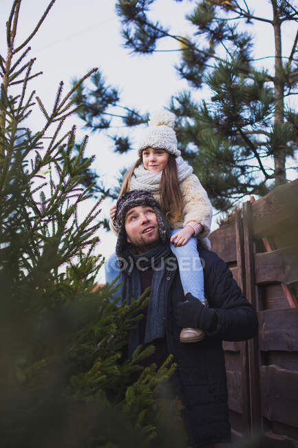 Отец с дочерью на плечах выбирают рождественское дерево на внешнем рынке — стоковое фото