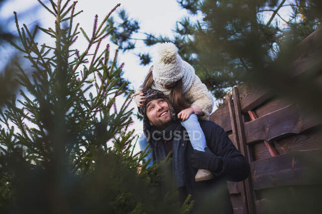 Pai com filha nos ombros escolher a árvore de Natal no mercado exterior — Fotografia de Stock