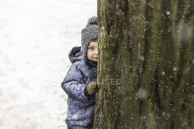 Snall menino em azul roupas quentes pico atrás de uma árvore, enquanto snowi — Fotografia de Stock