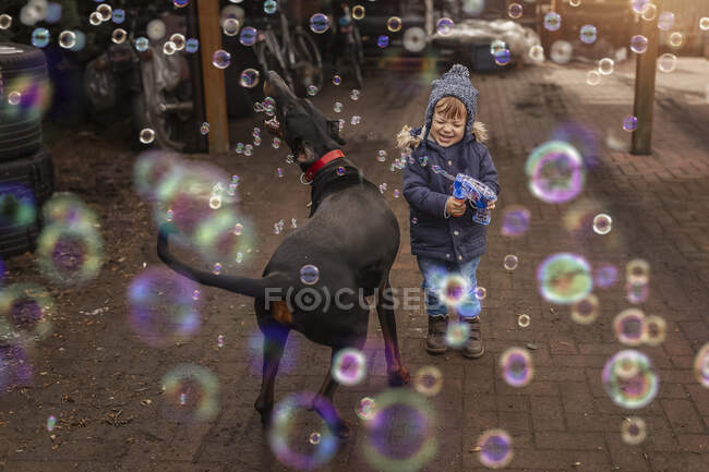 Criança brincando com doberman pincher e bolhas e pistola de bolhas — Fotografia de Stock