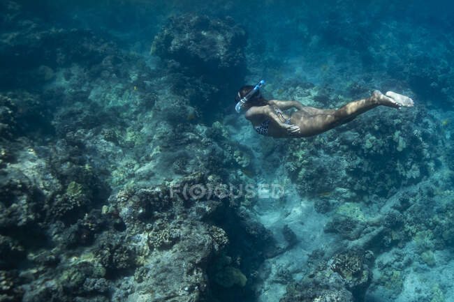 Bela mulher subaquática em água do mar vermelho com um mergulhador — Fotografia de Stock