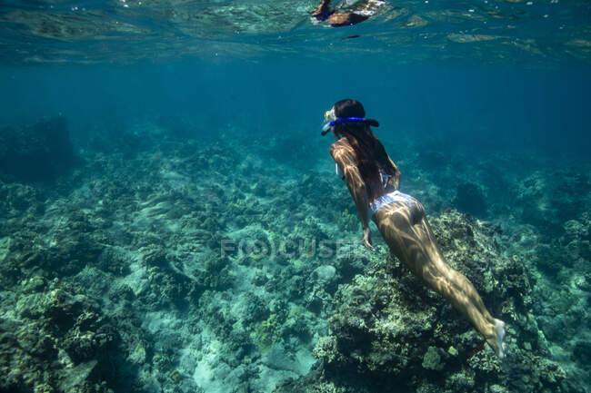 Молодая женщина ныряет с маской в море — стоковое фото