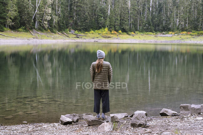 Menino senta-se em um pinheiro na floresta — Fotografia de Stock