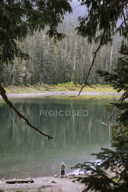 Uma bela vista do lago nas montanhas — Fotografia de Stock
