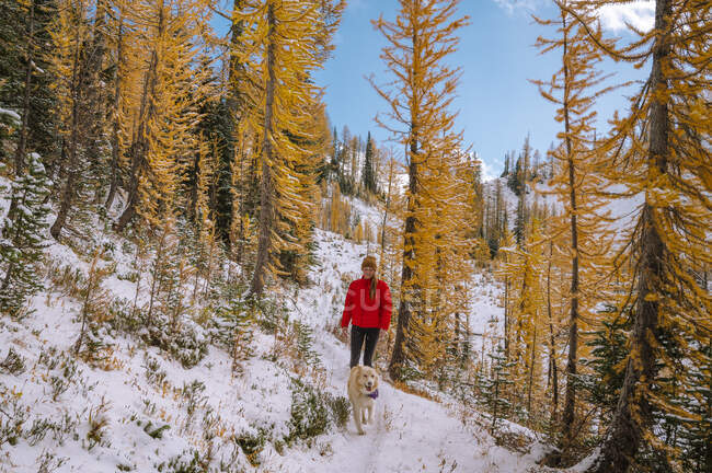 Young girl with backpack walking in a winter forest. — Stock Photo