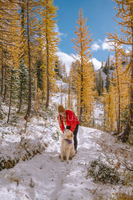 Щаслива молода жінка в зимовому одязі, що йде вздовж снігового лісу, гірський собака, сибірський чоловік — стокове фото