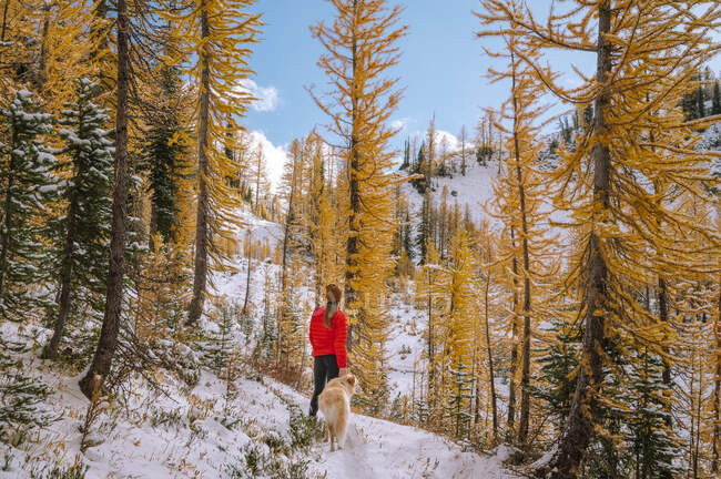 Giovane donna con uno zaino cammina sulla foresta invernale — Foto stock
