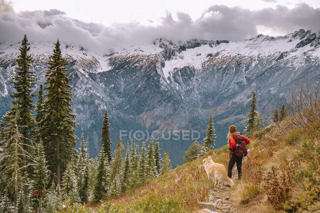 Bela paisagem com montanhas no fundo. foto de alta qualidade — Fotografia de Stock