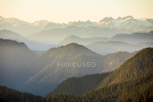 Bela paisagem das montanhas dos Cárpatos no nevoeiro — Fotografia de Stock