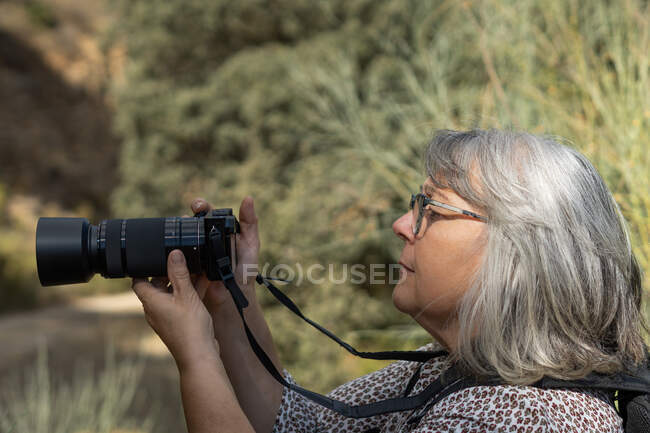 Mujer mayor de pelo blanco tomando fotos en el bosque - foto de stock