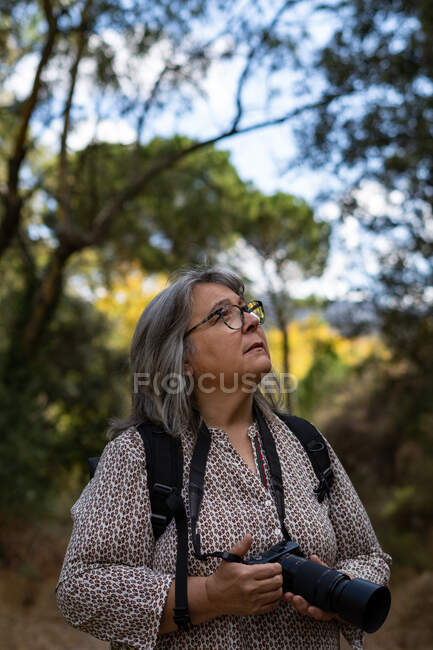 Пожилая седовласая женщина, фотографирующая в лесу — стоковое фото