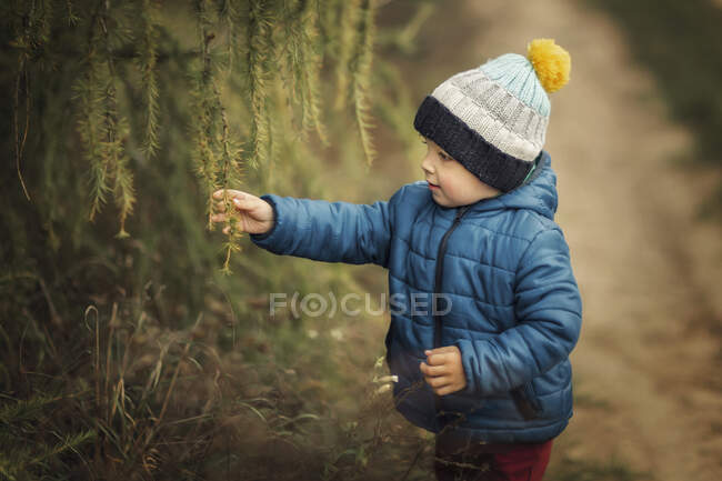 Menino pequeno em casaco azul e chapéu na floresta tocando ramos de — Fotografia de Stock
