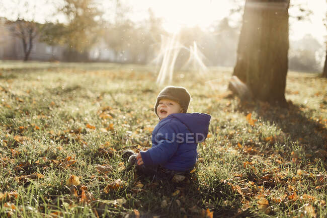Niño pequeño en chaqueta azul y sombrero caliente sentado en el gras - foto de stock