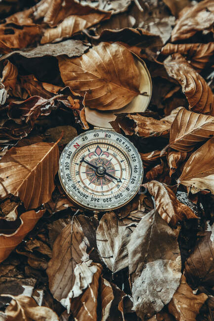 Древний золотой компас среди сухих листьев леса осенью — стоковое фото