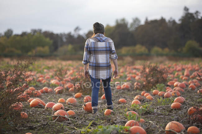 Agricultora com abóbora no campo — Fotografia de Stock