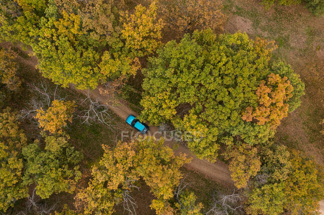 Vista aérea do carro e da floresta — Fotografia de Stock
