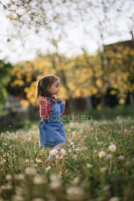 Junges Mädchen spielt in einem Park voller Löwenzahn mit einem verschwommenen ba — Stockfoto