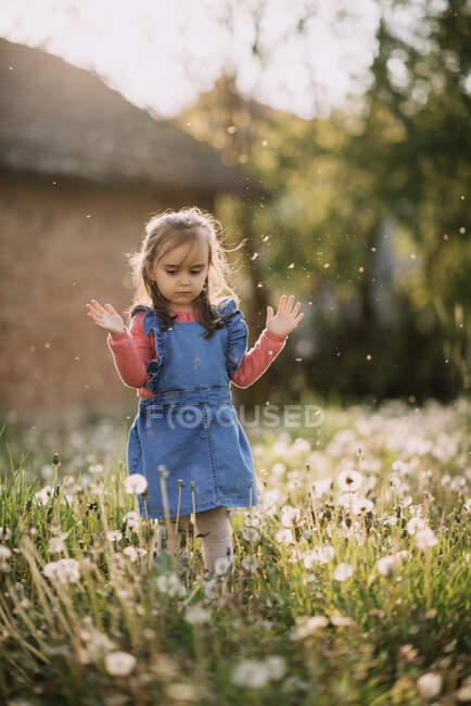 Молода дівчина грає з кульбабами . — стокове фото