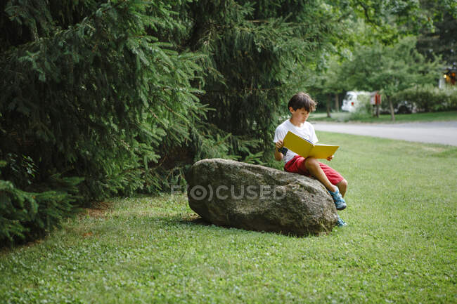 Niño sentado en la hierba y leyendo un libro - foto de stock