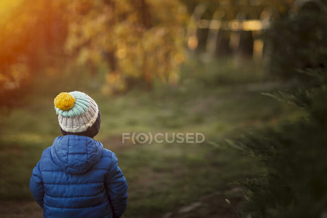 Ребенок смотрит на сад в голубой куртке и теплой шляпе — стоковое фото