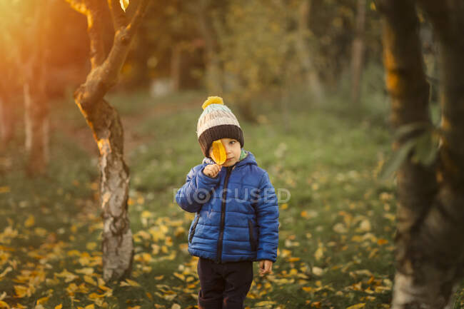 Portrait of a small boy in garden in blue jacket holding a yello — Stock Photo