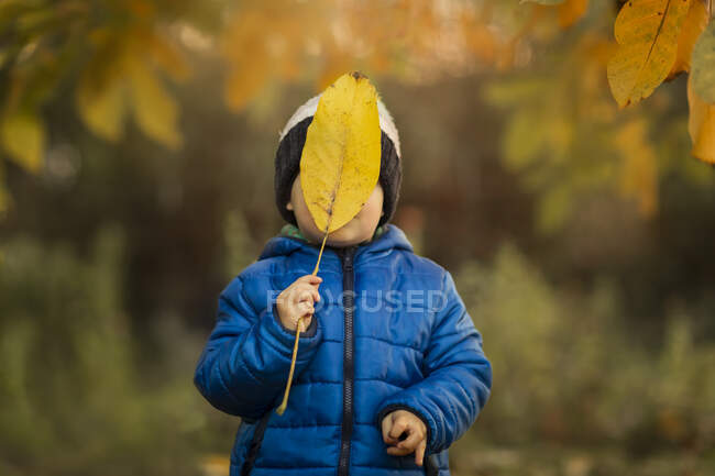 Portrait of a small boy in garden in blue jacket covering face w — Stock Photo