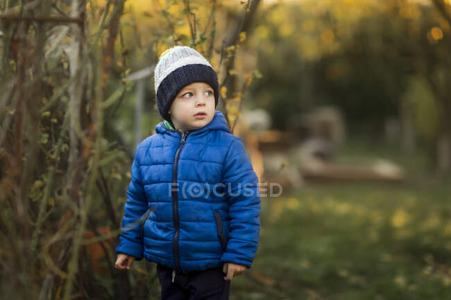 Lindo chico en el jardín - foto de stock