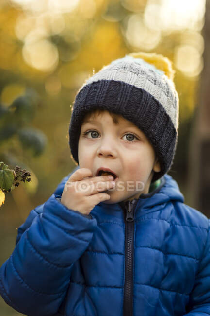 Vista lateral del niño pequeño comiendo frambuesas amarillas en el jardín - foto de stock