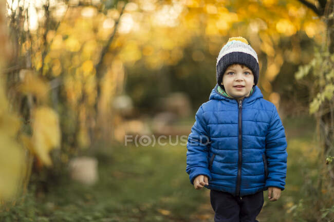 Вид спереди маленького мальчика в саду осенью в синей куртке — стоковое фото