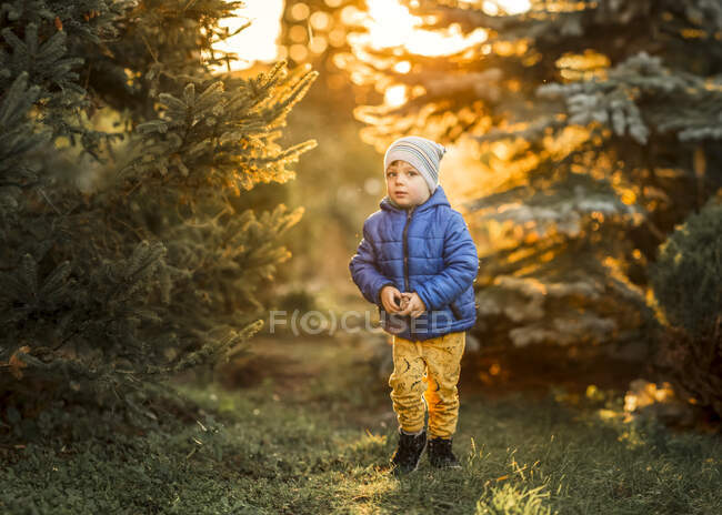Маленький хлопчик з блакитними очима та синьою курткою, що стоїть у лісі — стокове фото