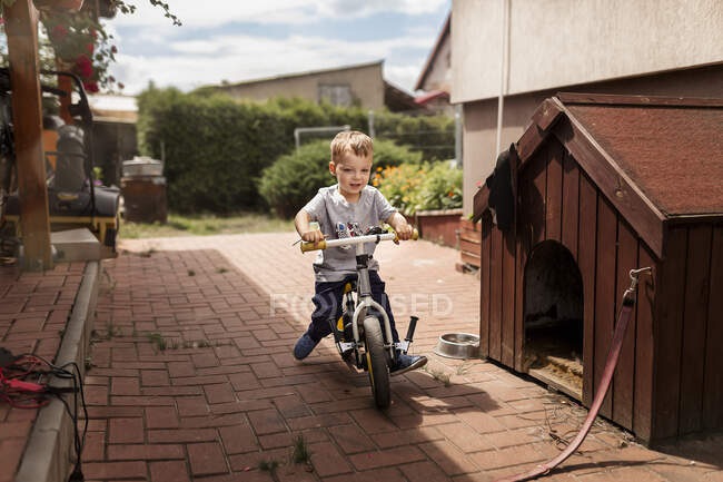 Pequeño chico rubio en camiseta gris montando bicicleta de empuje al lado de doghou - foto de stock