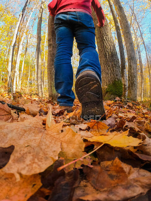 Обрізаний крупним планом чоловічі ноги на листовій пішохідній стежці . — стокове фото