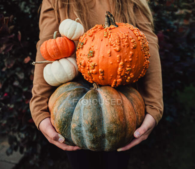 Close up of girl's arms holding a variety of pumpkins on fall day. — Stock Photo