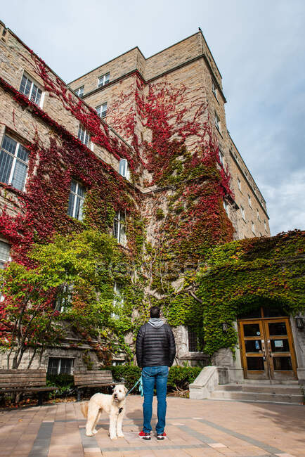 Homem com cão olhando para o edifício coberto de hera vermelha no campus universitário. — Fotografia de Stock