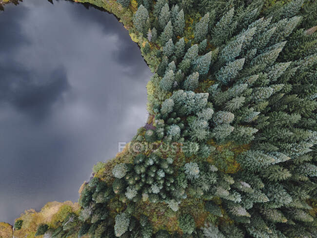 Vista aérea de um lago reflexivo rodeado por pinheiros — Fotografia de Stock