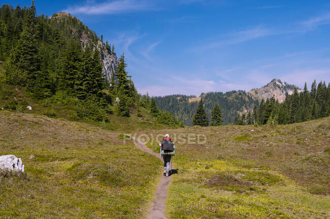 Female hiking on a trail in the north cascade mountains — Stock Photo