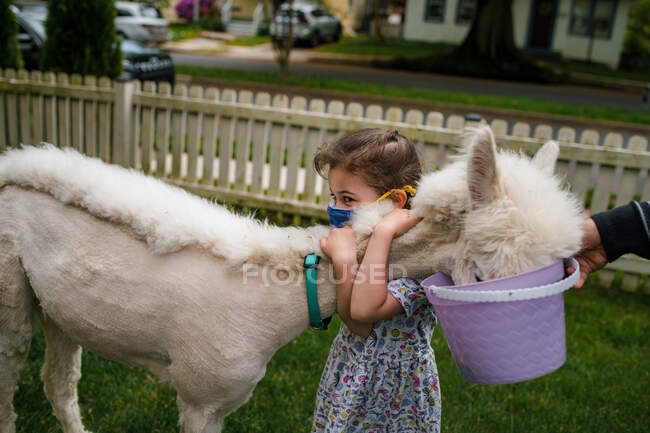 Young girl hugging alpaca in suburban yard — Stock Photo