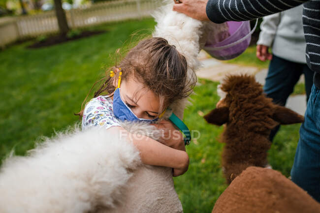 Close up di ragazza abbracciare collo alpaca — Foto stock