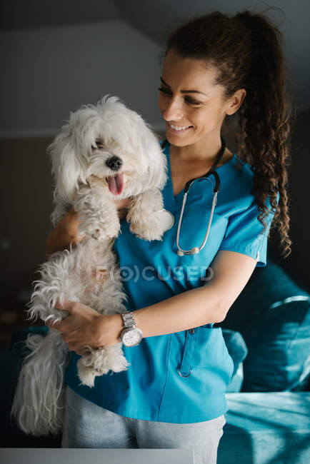 Tierarzt hält und streichelt einen flauschigen weißen Hund und lächelt. — Stockfoto