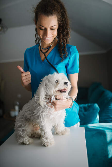 Vétérinaire montrant un pouce levé et souriant tout en caressant un mal — Photo de stock