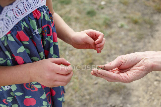 Close-up of father holding a grasshopper to show little girl — Stock Photo