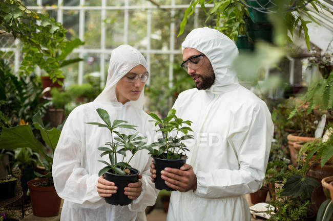 Scientists in clean suit holding potted plants — Stock Photo